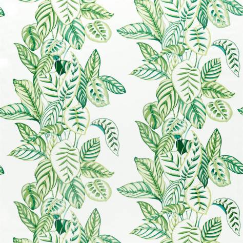 Sanderson Glasshouse Fabrics Calathea Fabric - Botanical Green - DGLA226575 - Image 1