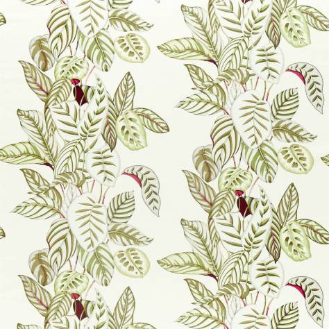 Sanderson Glasshouse Fabrics Calathea Fabric - Olive - DGLA226576