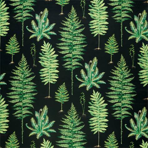 Sanderson Glasshouse Fabrics Fernery Fabric - Botanical Green / Charcoal - DGLA226577