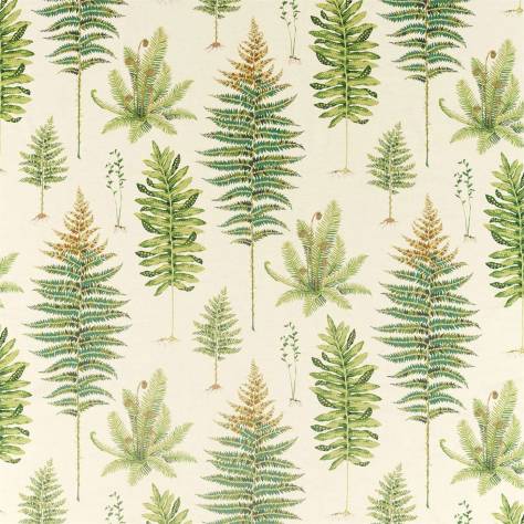 Sanderson Glasshouse Fabrics Fernery Fabric - Olive - DGLA226578