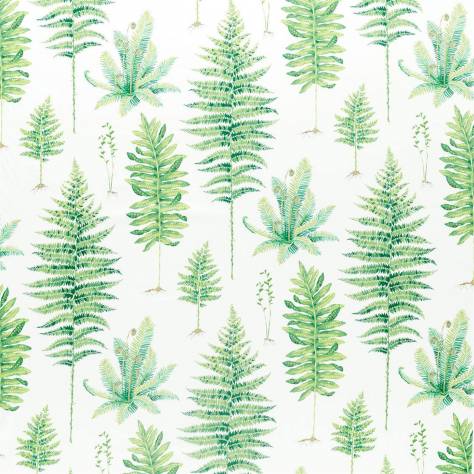 Sanderson Glasshouse Fabrics Fernery Fabric - Botanical Green - DGLA226579 - Image 1