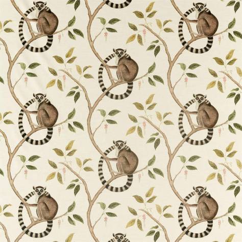 Sanderson Glasshouse Fabrics Ringtailed Lemur Fabric - Olive - DGLA226581 - Image 1