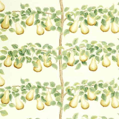 Sanderson A Celebration of the National Trust Perry Pears Fabric - Ochre / Leaf Green - DNTF226735 - Image 1