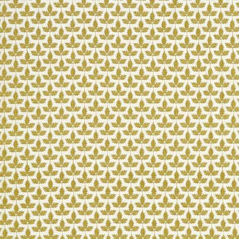 Sanderson A Celebration of the National Trust Felix Fabric - Olive - DNTF237192