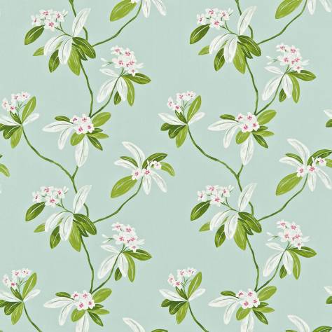 Sanderson Richmond Hill Prints Fabrics Oleander Fabric - Fuchsia/Sky Blue - DRCH222081