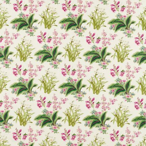 Sanderson Arboretum Fabrics Enys Garden Fabric - Rose/Leaf - DARF227062 - Image 1