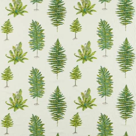 Sanderson Arboretum Fabrics Fernery Embroidery Fabric - Botanical Green - DARF237319