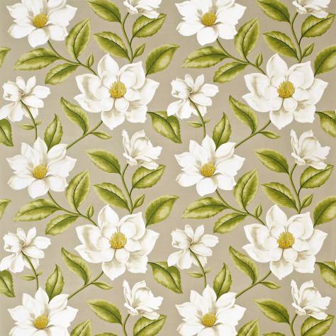 Sanderson A Painter's Garden Fabrics Grandiflora Fabric - Linen/Olive - DAPGGR204 - Image 1