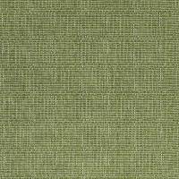 Pompano Outdoor Fabric - Grass