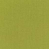 Valloire Fabric - Lime
