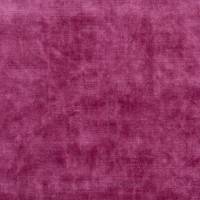 Glenville Fabric - Camellia