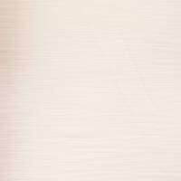 Pampas Fabric - Oyster