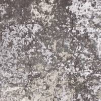 Panther Fabric - Silver Grey