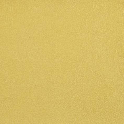 Warwick Marlborough Fabrics Marlborough Fabric - Mustard - MARLBOROUGHMUSTARD