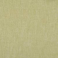 Key Largo Fabric - Wasabi