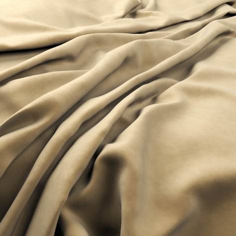 Warwick Plush Velvet III Fabrics Plush Velvet Fabric - Caf - PLUSHVELVETCAFE