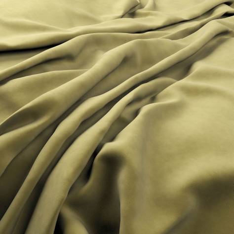 Warwick Plush Velvet III Fabrics Plush Velvet Fabric - Celery - PLUSHVELVETCELERY