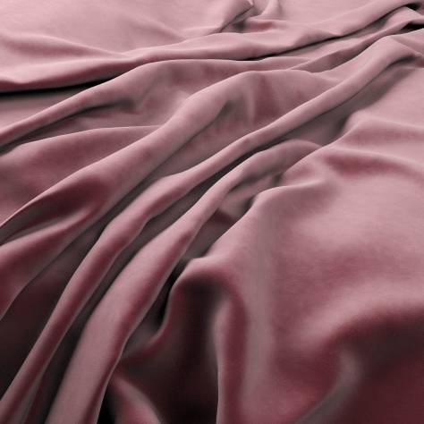 Warwick Plush Velvet III Fabrics Plush Velvet Fabric - Dirty Rose - PLUSHVELVETDIRTYROSE - Image 1