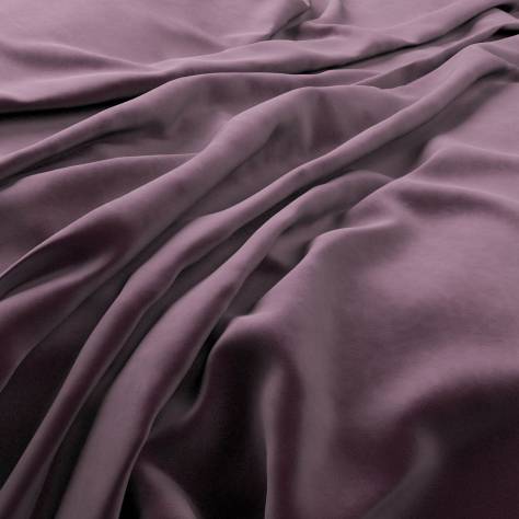 Warwick Plush Velvet III Fabrics Plush Velvet Fabric - Grape - PLUSHVELVETGRAPE - Image 1