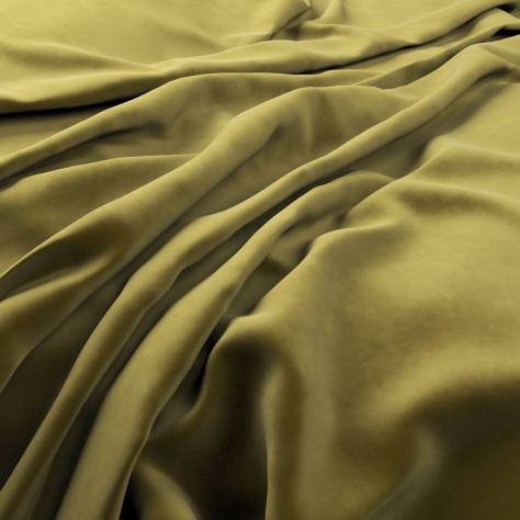 Warwick Plush Velvet III Fabrics Plush Velvet Fabric - Moss - PLUSHVELVETMOSS