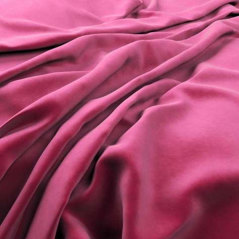Warwick Plush Velvet III Fabrics Plush Velvet Fabric - Peony - PLUSHVELVETPEONY - Image 1