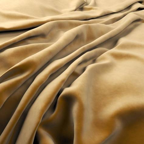 Warwick Plush Velvet III Fabrics Plush Velvet Fabric - Turmeric - PLUSHVELVETTURMERIC - Image 1