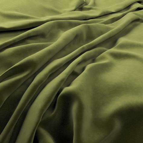 Warwick Plush Velvet III Fabrics Plush Velvet Fabric - Vine - PLUSHVELVETVINE