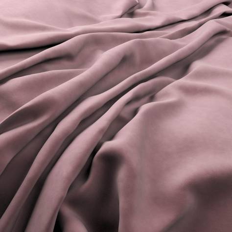 Warwick Plush Velvet III Fabrics Plush Velvet Fabric - Violet - PLUSHVELVETVIOLET