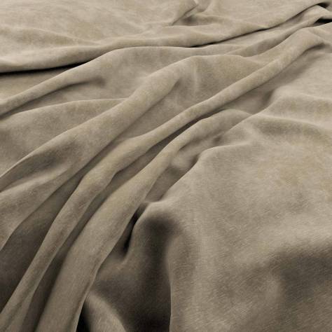 Warwick Lovely II Fabrics Lovely Fabric - Taupe - LOVELYTAUPE - Image 1