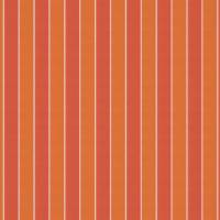 Robberg Fabric - Tangerine