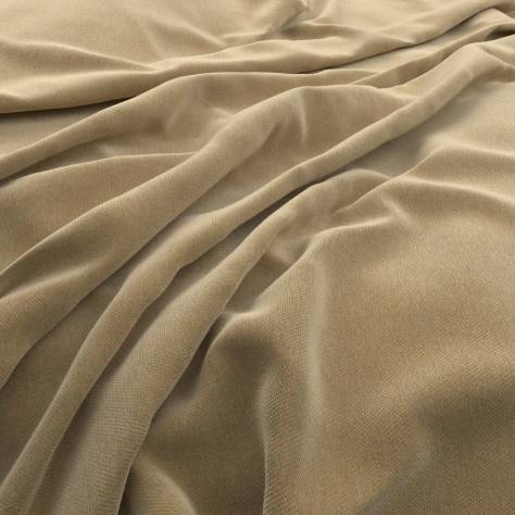 Warwick Manolo Fabrics Manolo Fabric - Wheat - MANOLO-WHEAT - Image 2