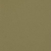 Shagreen Fabric - Pistachio