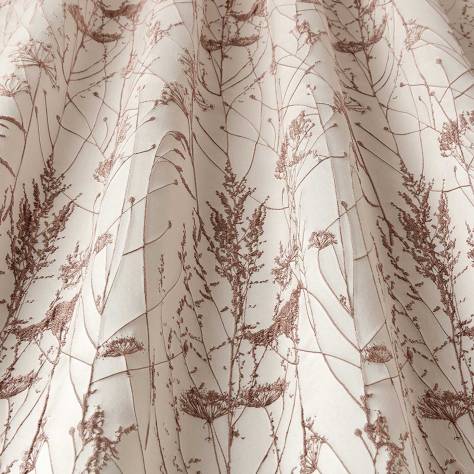 iLiv Charnwood Fabrics Charnwood Fabric - Wildrose - CHARNWOODWILDROSE - Image 2