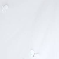 White Papillons Voile Fabric - White