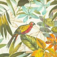 Aviary Fabric - Acacia
