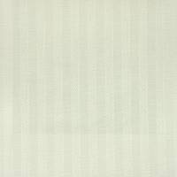 Henley Stripe Fabric - Lace