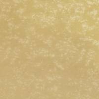 Loess Fabric - Gold
