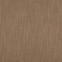 Colbie Fabric - Cinnamon