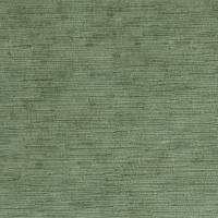Amore Fabric - Olive