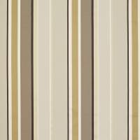 Evolution Stripe Fabric - Gold/Natural