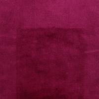 Carnaby Velvet Fabric - Jester