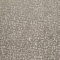 Shagreen Silk Fabric - Cowrie