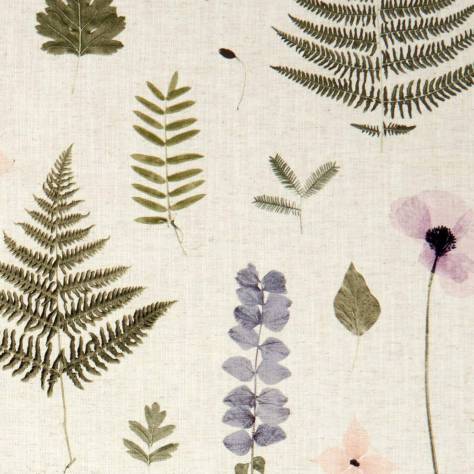 Clarke & Clarke Botanica Fabrics Herbarium Fabric - Blush/Natural - F1089/01 - Image 1