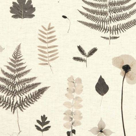 Clarke & Clarke Botanica Fabrics Herbarium Fabric - Charcoal/Natural - F1089/02 - Image 1