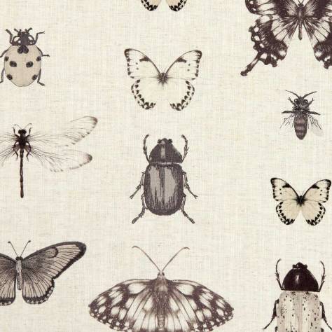 Clarke & Clarke Botanica Fabrics Papilio Fabric - Charcoal/Linen - F1093/02