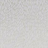 Coralino Sheer Fabric - Champagne/Gold