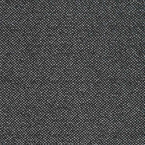 Clarke & Clarke Purus Fabrics Filum Fabric - Ebony - F1421/02
