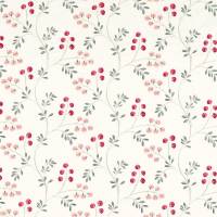 Rochelle Fabric - Blush/Raspberry