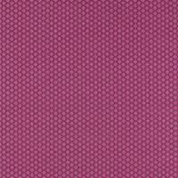 Equator Fabric - Raspberry