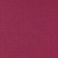Equator Fabric - Ruby